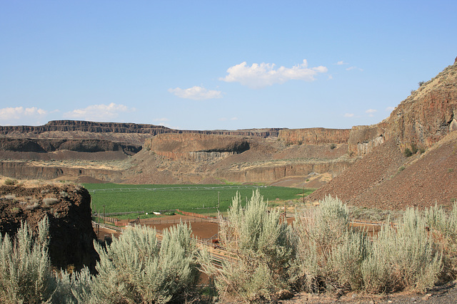 Moses Coulee, Washington state, USA