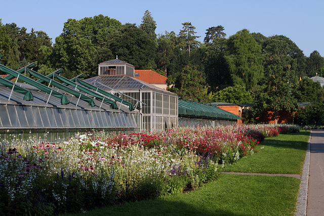 Blumenpracht in der Wilhelma