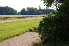 Arbustaro, vojo, kampoj kaj preĝejo St-Petro (Büsche, Weg, Felder Kirche St. Petri