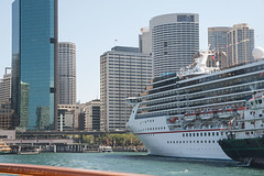 Cruise ship parked in Circular Quay