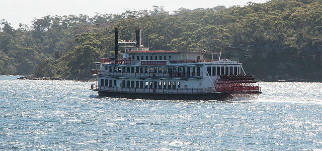 Paddleboat in Sydney Harbour