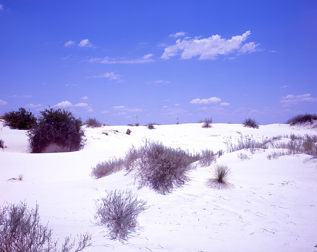 White Sands, New Mexico