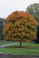 Herbst in der Wilhelma