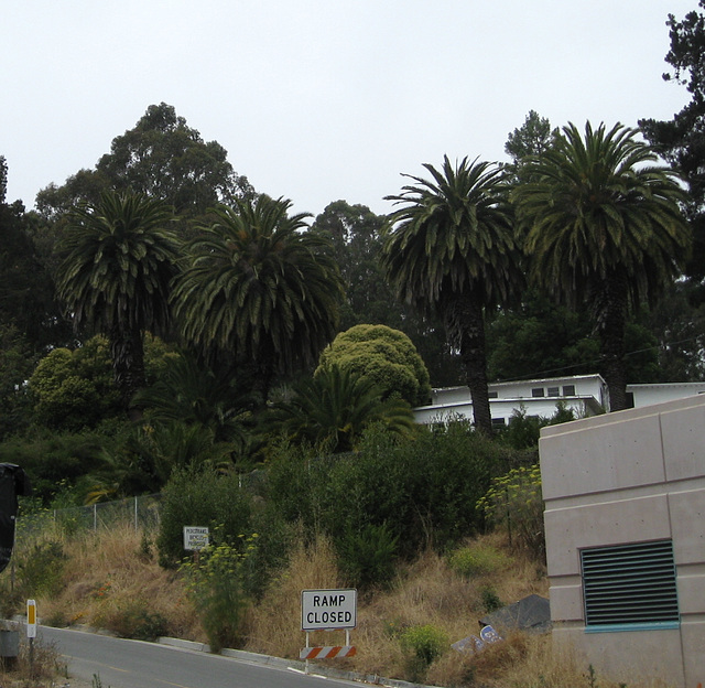 Yerba Buena Island Naval Base 2990a