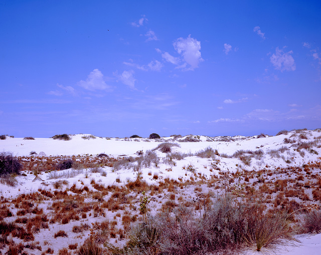 White Sands, New Mexico