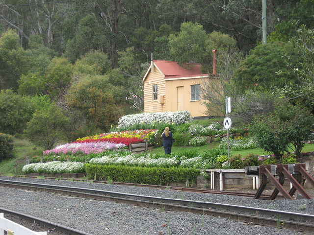 092010 TmbaFlowerFestival 042