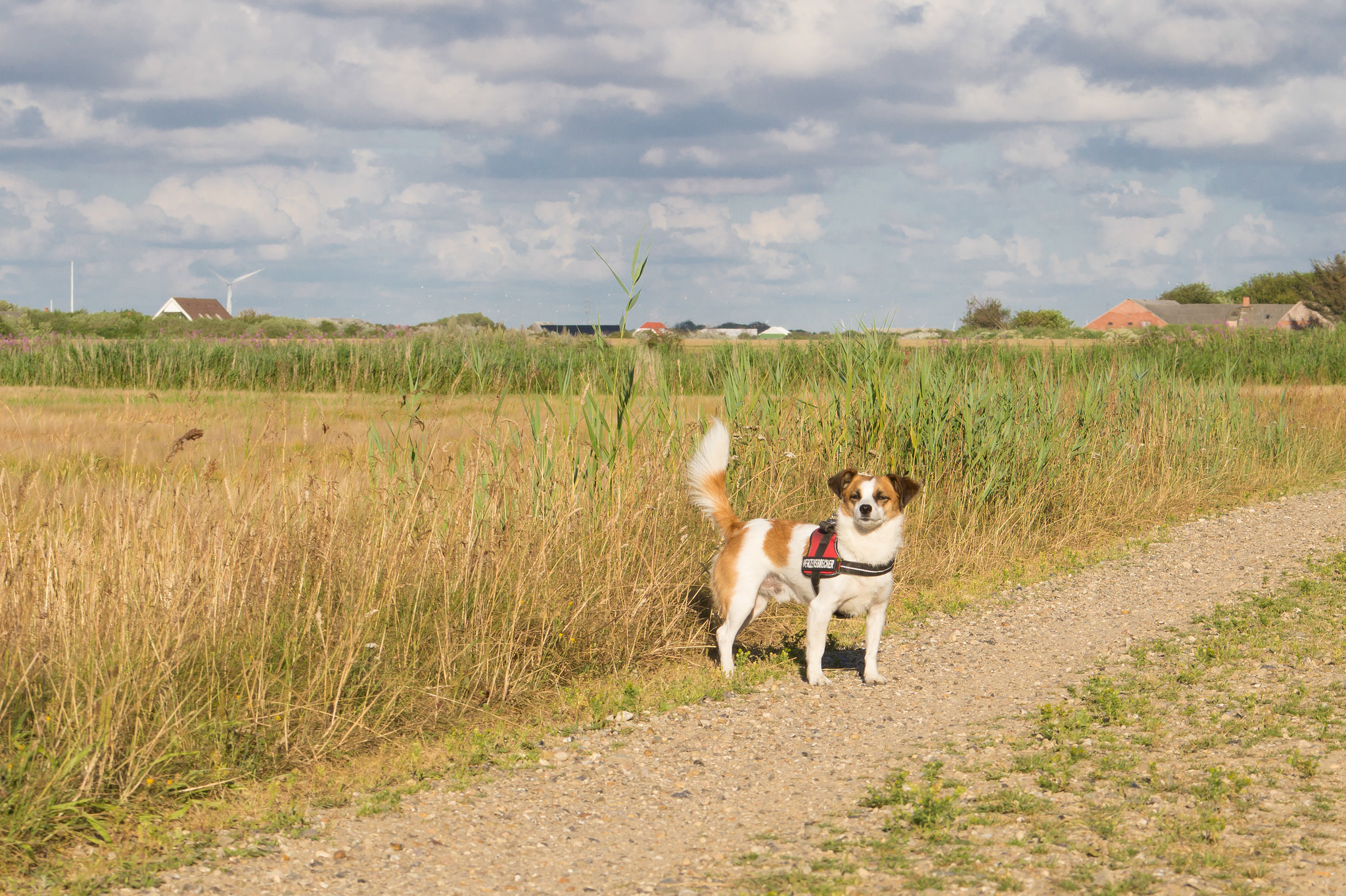 20130731-DSC01651