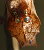 Silver washed fritillary (Argynnis paphia) pupa