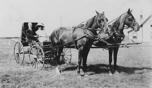 [Horse-Drawn Carriage]