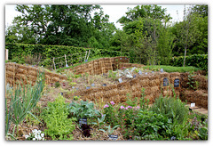 Un Paysage à goûter- Jardin 5