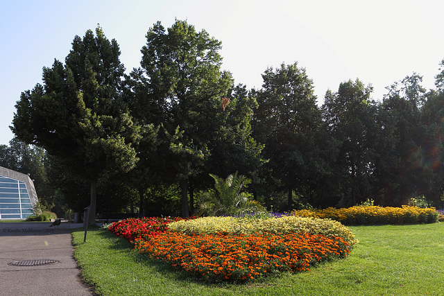 Blumenpracht in der Wilhelma