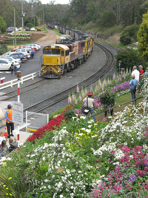 092010 TmbaFlowerFestival 030