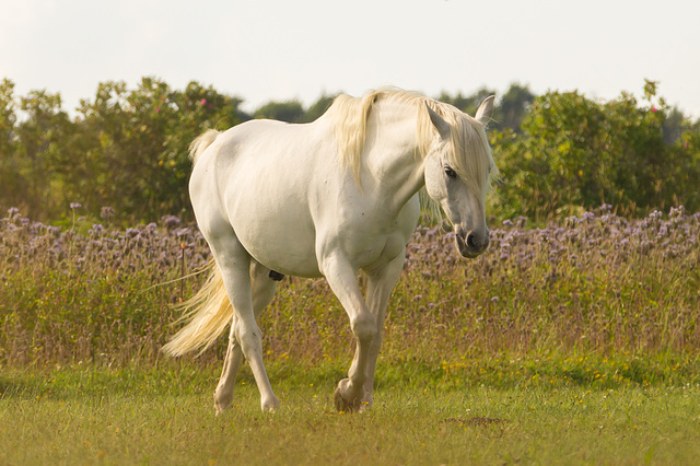 20130731-DSC01569