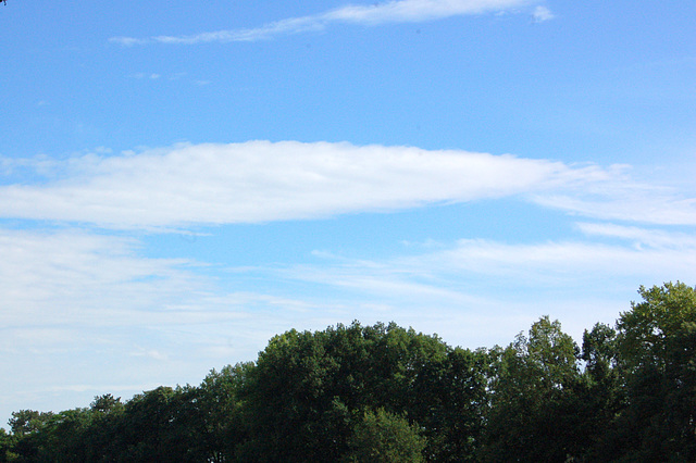 Arbareto kaj nubo (Wäldchen und Wolke)