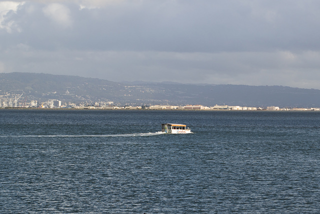 SF ATT park duck ride (0214)