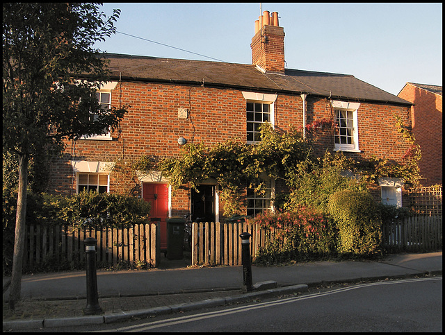 sunlit red brick houses