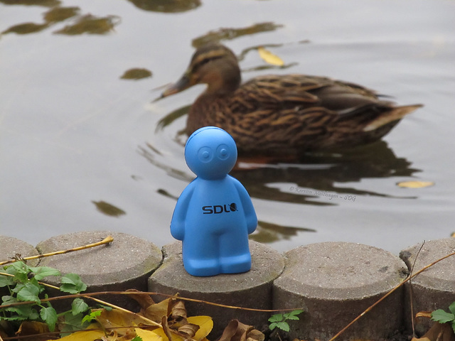 Der Alien und die Ente