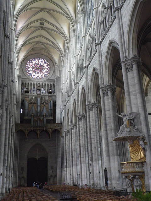 La cathédrale : les orgues.