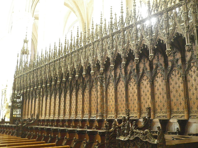 La cathédrale : les stalles.