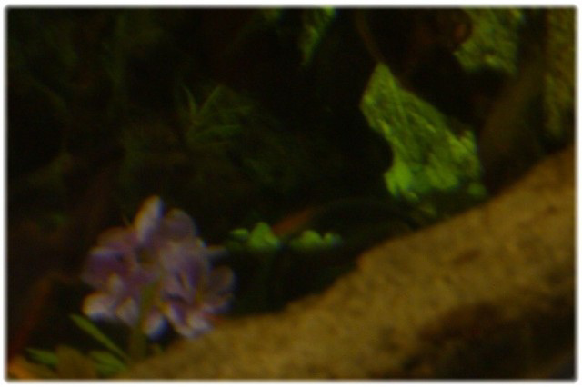 dscn3477