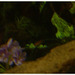 dscn3477