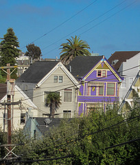SF Castro (3652)