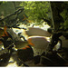 dscn3471