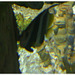 dscn3487