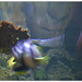 dscn3489