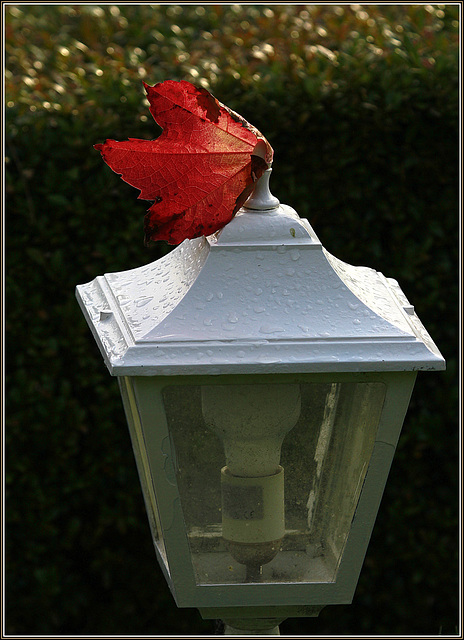 Toute la lumière sous l'automne