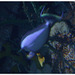 dscn3498