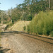 200301borderloopviewnorth