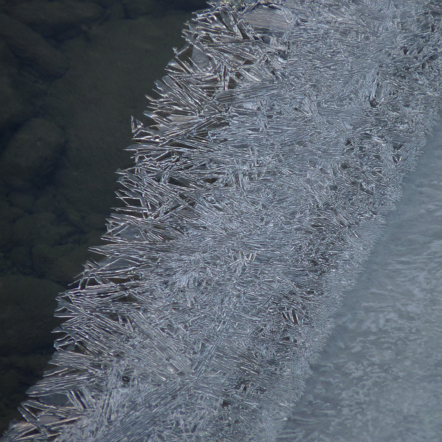 Winter lace