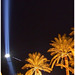 dscn3542