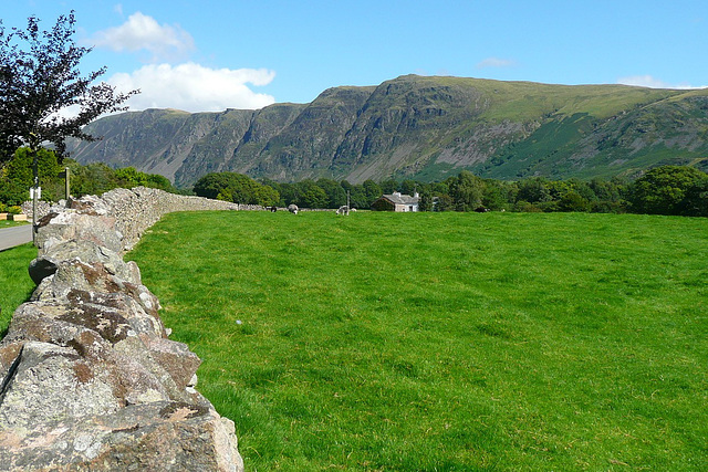 The Screes