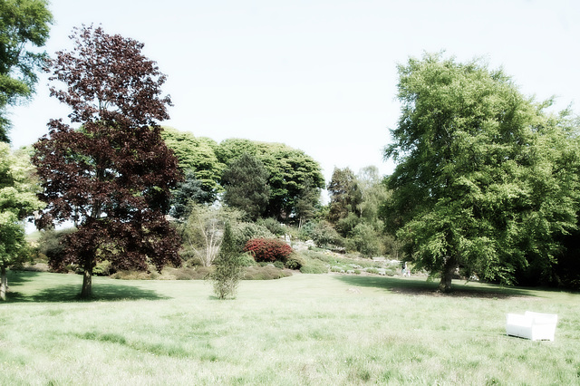 The Vanished Gardens of Cordoba