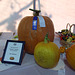 Blue Ribbon Pumpkin at the Queens County Farm Museum Fair, September 2008