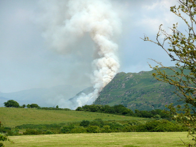 Bush fire