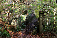 Bridge over the track.