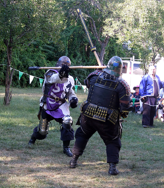 Viceroy Alexandre & Lord John the Bear Fighting at the Queens County Farm Fair Demo, September 2007