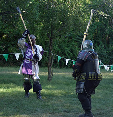 Viceroy Alexandre & Lord John the Bear Fighting at the Queens County Farm Fair Demo, September 2007