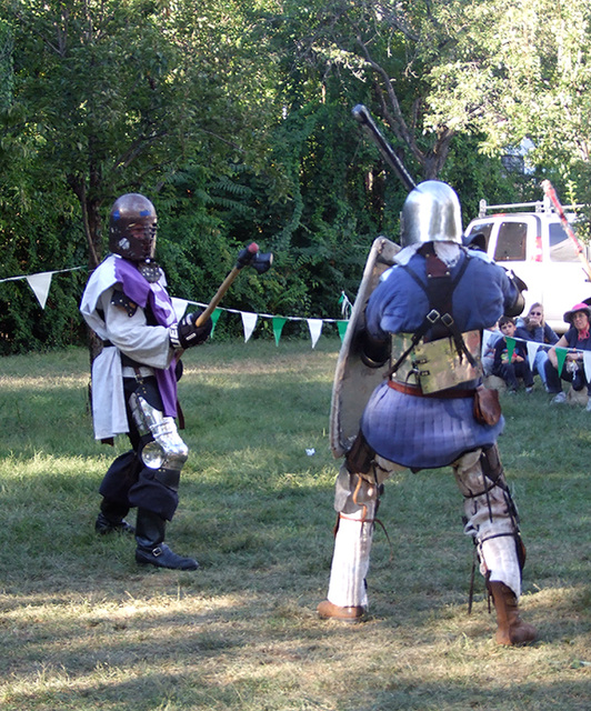 Viceroy Alexandre and Lord Ervald Fighting at the Queens County Farm Fair, September 2007