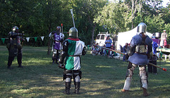 John the Bear and Viceroy Alexandre vs Avran and Ervald at the Queens County Farm Fair, September 2007