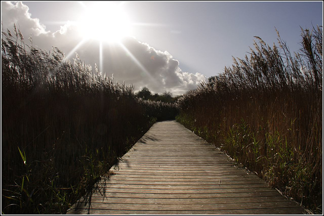 On the boardwalk