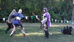 John the Bear and Viceroy Alexandre vs Avran and Ervald at the Queens County Farm Fair, September 2007