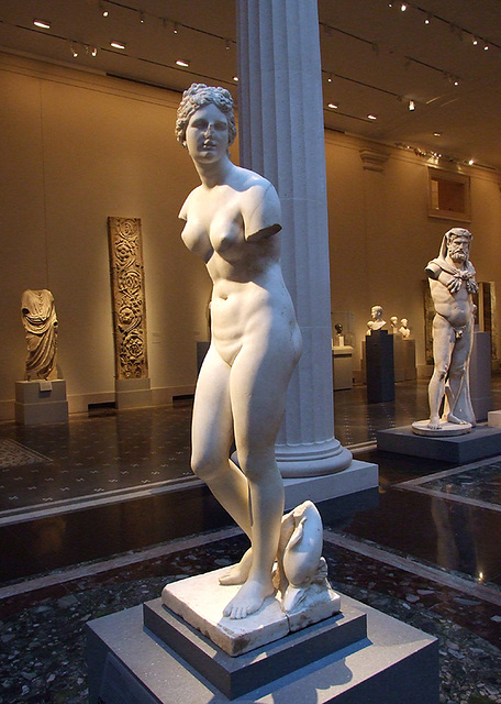 Marble Statue of Aphrodite in the Metropolitan Museum of Art, July 2007