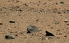 fossil from mars
