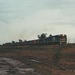 200011Narrabri0004