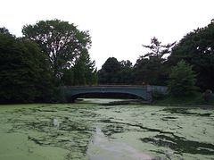 The Bridge from the Boathouse in Prospect Park, August 2007