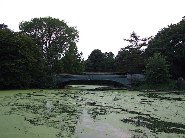 The Bridge from the Boathouse in Prospect Park, August 2007